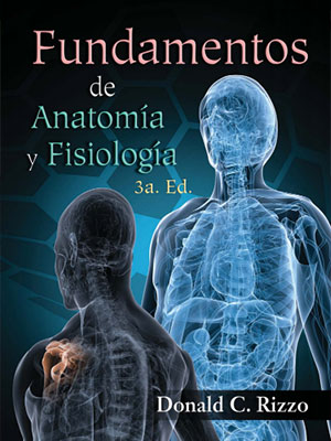 e-books-fundamentos-anatomia-fisiologia-donald-c-rizzo.jpg