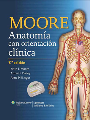 e-books-more-fundamentos-anatomia-clinica-7e.jpg