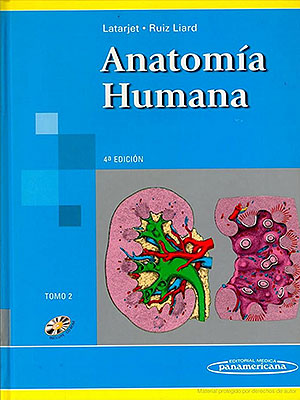 anatomia humana Latarjet T2