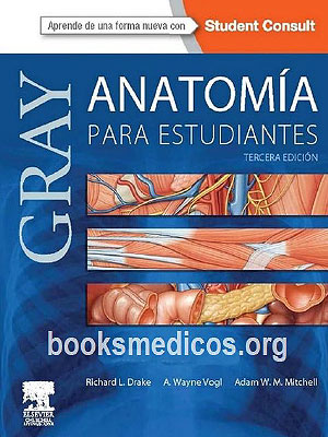anatomia para estudiantes Gray