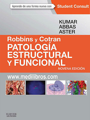 Patología Estructural y Funcionalidad