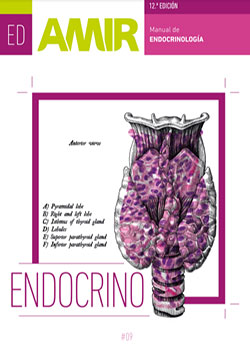 endocrinologia