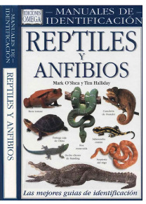 Reptiles y anfibios 