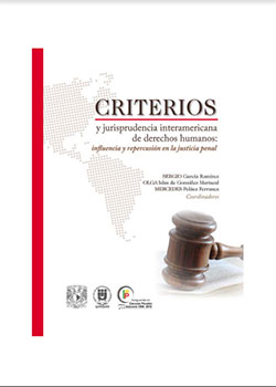 Criterios y jurisprudencia 
