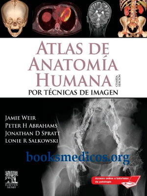Atlas de Anatomía Humana