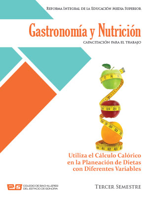 Gastronomia y Nutrición