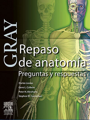 repaso anatomia Gray