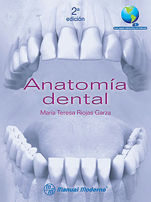 anatomía dental