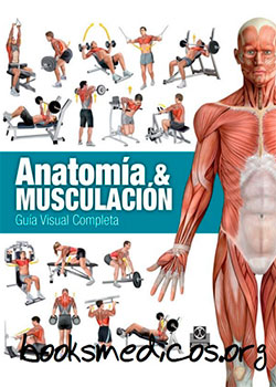 Anatomía y musculación 