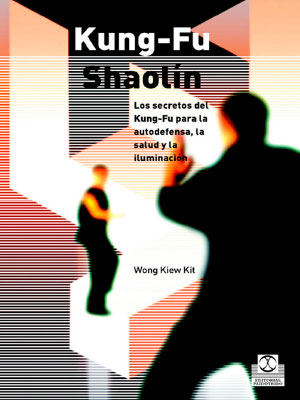 kung fu shaolin