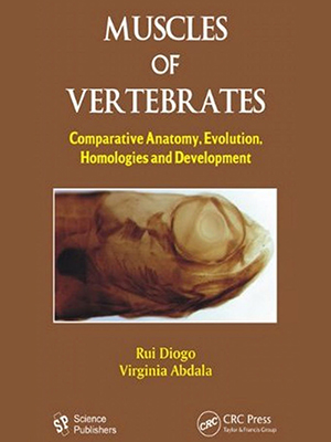 muscles of vertebrates