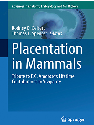 placentation in mammals