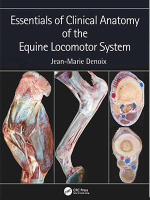 essentials of clinical anatomy of the equine locomotor system