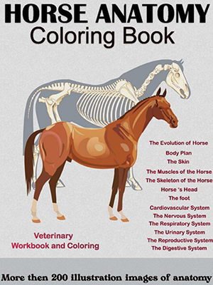 horse anatomy coloring book