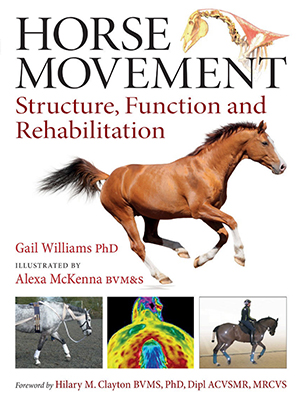 horse movement