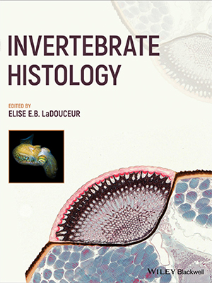 invertebrate histology
