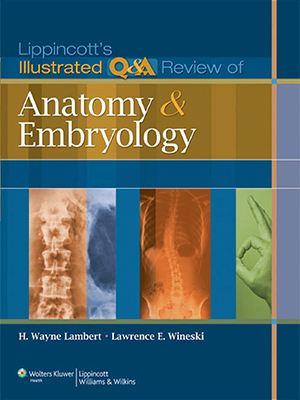 anatomy and embriology