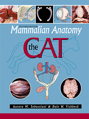 mammalian anatomy the cat