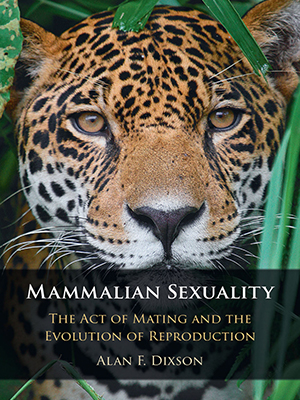 mammalian sexuality