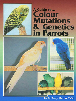 color mutations & genetics in parrots