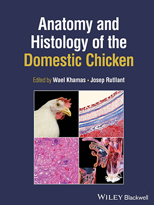 anatomy and histology of the domestic chicken