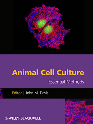 animal cell culture