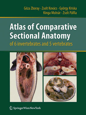atlas of comparative sectional anatomy