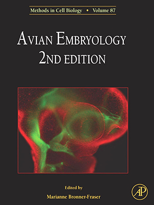 avian embriology