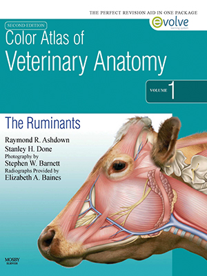 color atlas of veterinary anatomy