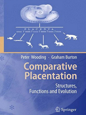 comparative placentation
