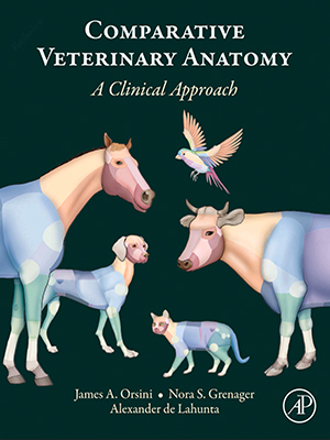 comparative veterinary anatomy