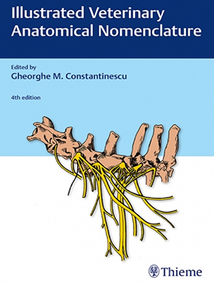illustrated veterinary anatomical nomenclature