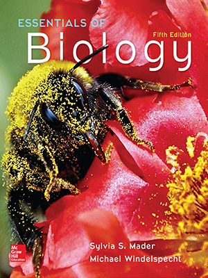essentials of biology